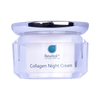 REVITOL COLLAGEN NIGHT CREAM 40GM(REACN)