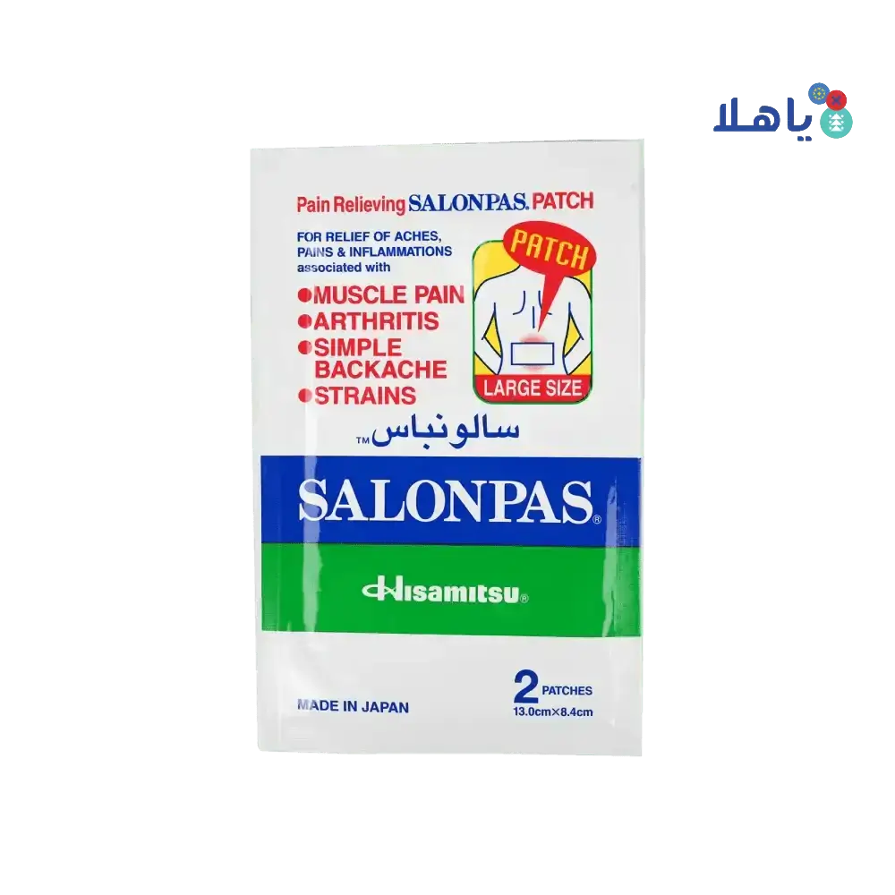 HISAMITSU - Salonpas Pain Relieving 2Patches - Pharmazone - 