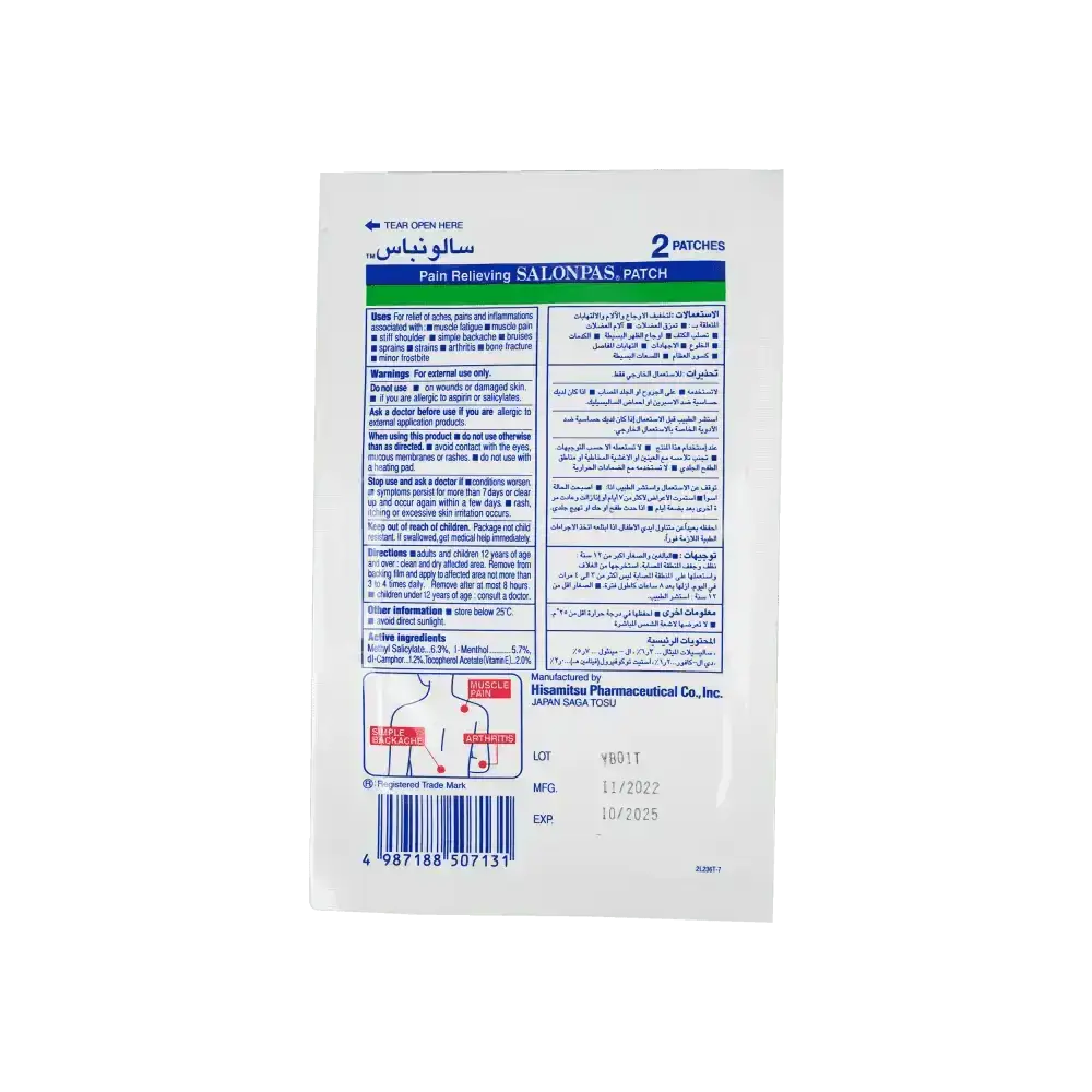 HISAMITSU - Salonpas Pain Relieving 2Patches - Pharmazone - 