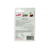 Sebamed Lip Defense Cherry 4.8g