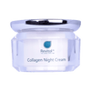 REVITOL COLLAGEN NIGHT CREAM 40GM(REACN)